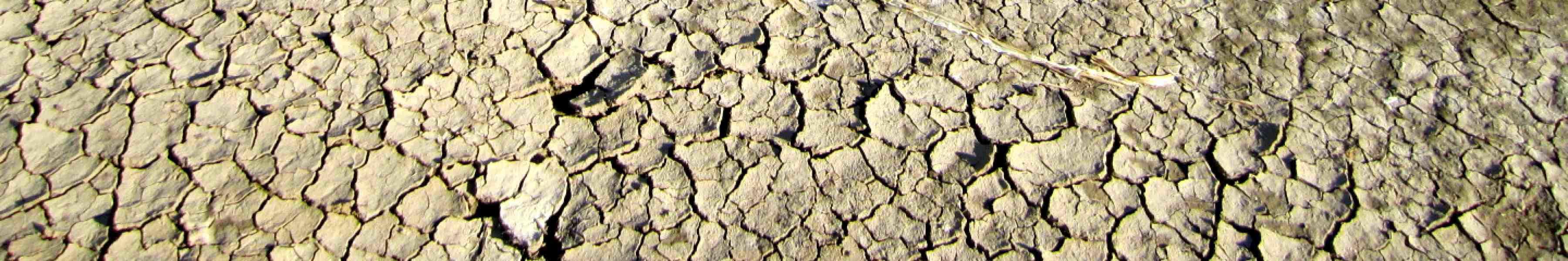 Drought Header