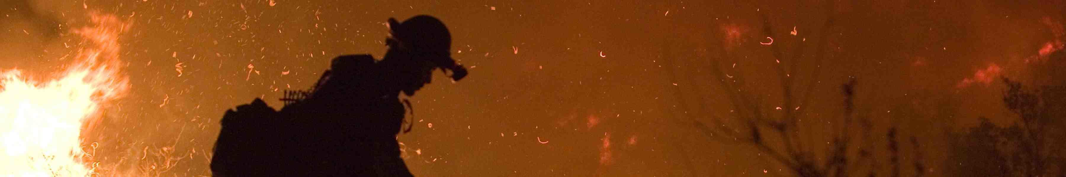 Fireman in the midst of a wildfire